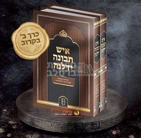 איש תבונה ידלנה - חלק א – תמונה 2