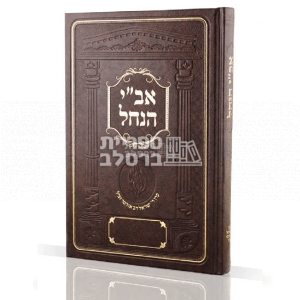 אב"י הנחל – רבי ישראל דב אודסר