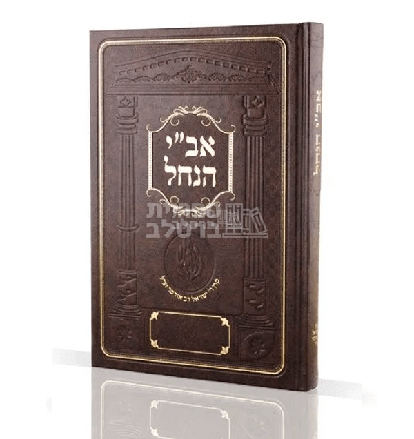 אב"י הנחל - רבי ישראל דב אודסר