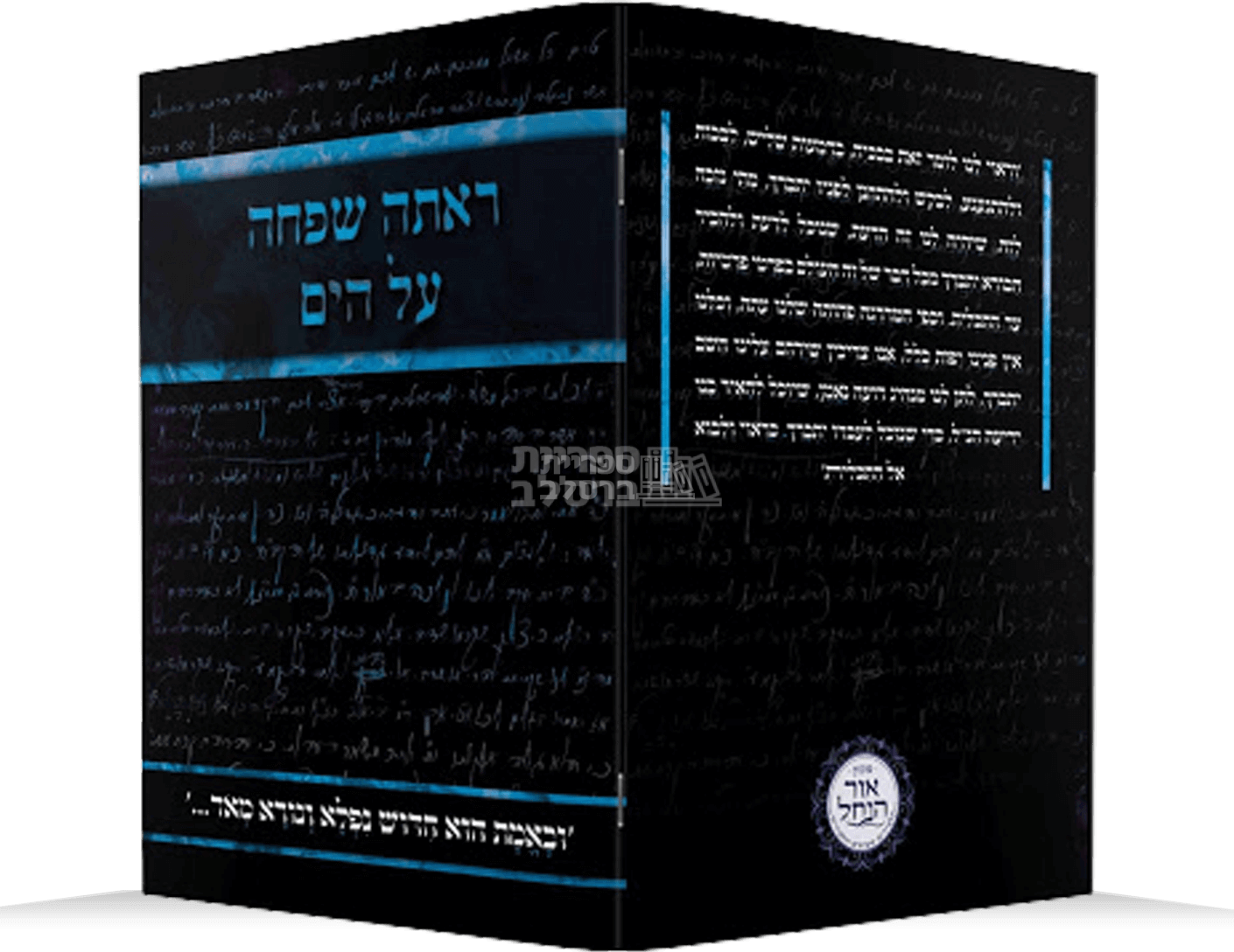 ראתה שפחה על הים - אברהם פלג כהן