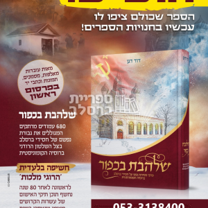 שלהבת בכפור – ר' דוד דגן