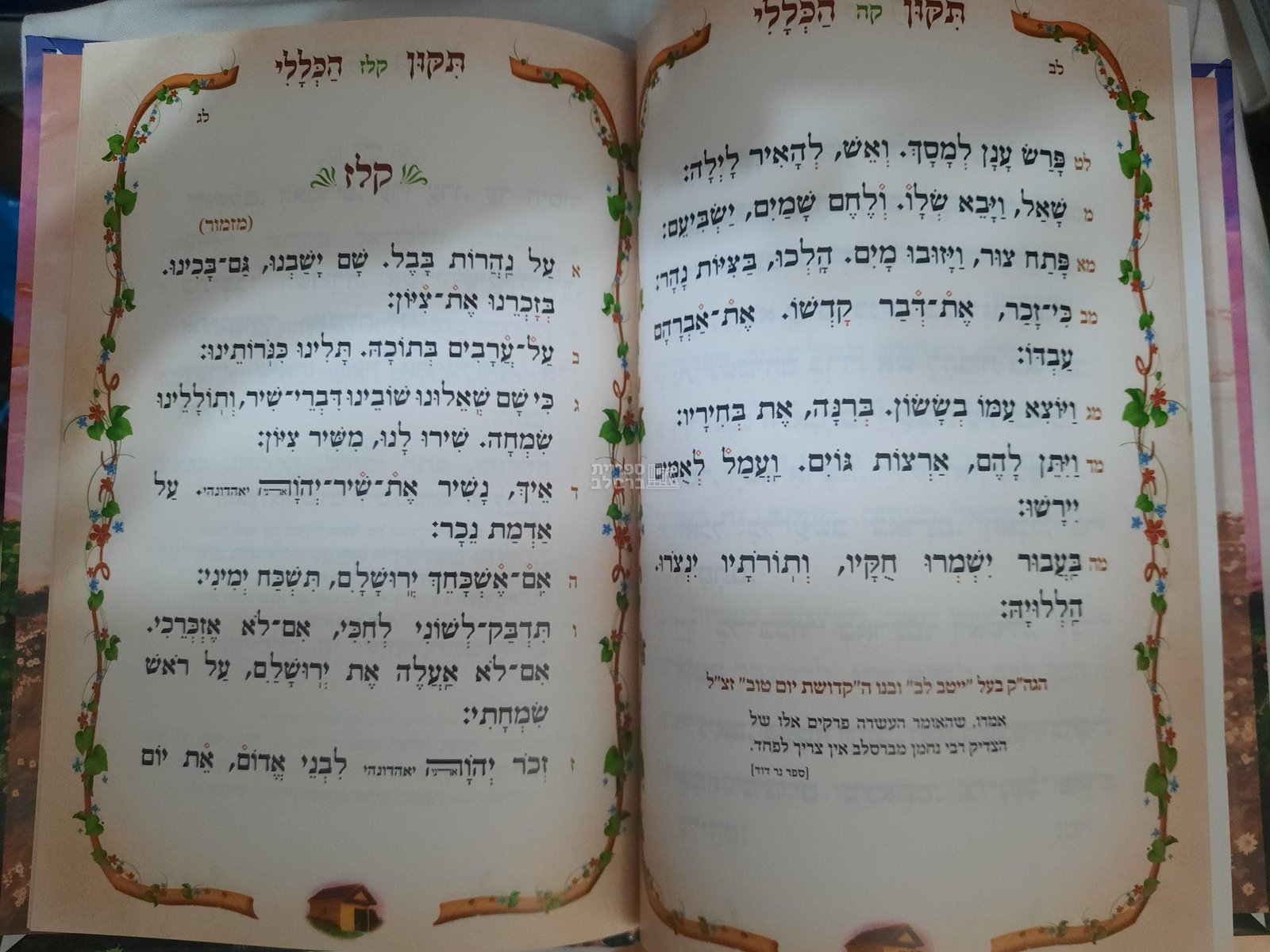 תיקון הכללי המפואר - לבן מלכותי – תמונה 3